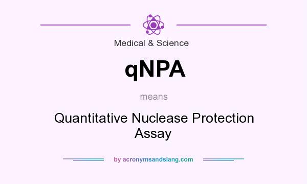 What does qNPA mean? It stands for Quantitative Nuclease Protection Assay