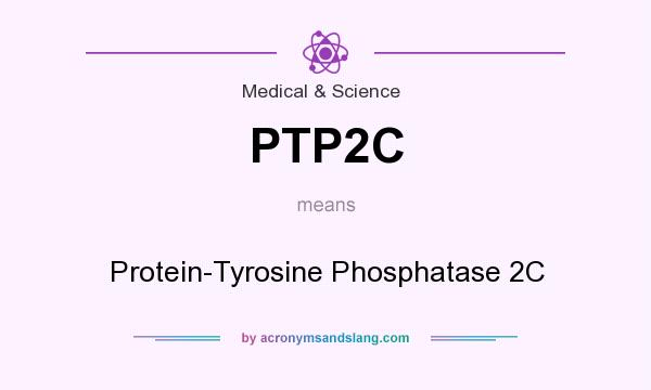 What does PTP2C mean? It stands for Protein-Tyrosine Phosphatase 2C