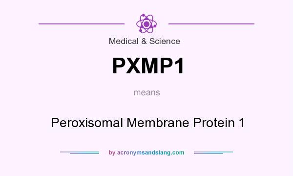What does PXMP1 mean? It stands for Peroxisomal Membrane Protein 1