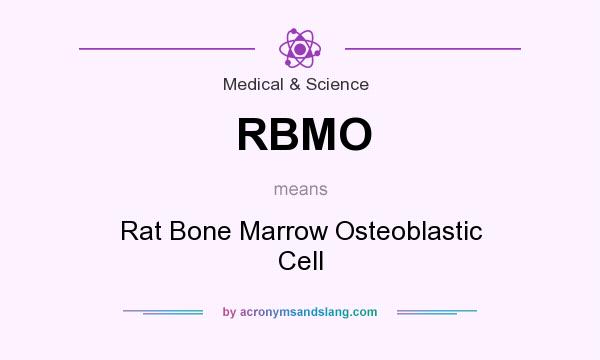 What does RBMO mean? It stands for Rat Bone Marrow Osteoblastic Cell