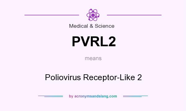 What does PVRL2 mean? It stands for Poliovirus Receptor-Like 2