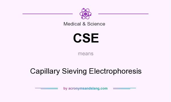 What does CSE mean? It stands for Capillary Sieving Electrophoresis