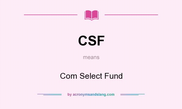 What does CSF mean? It stands for Com Select Fund