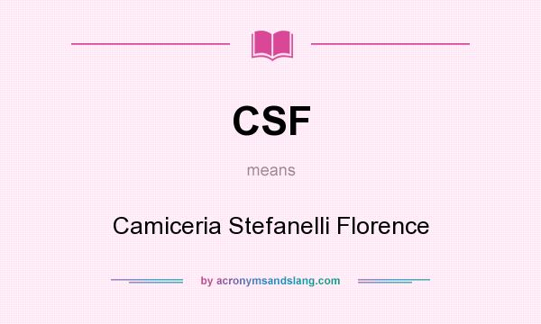 What does CSF mean? It stands for Camiceria Stefanelli Florence