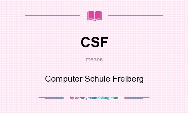 What does CSF mean? It stands for Computer Schule Freiberg