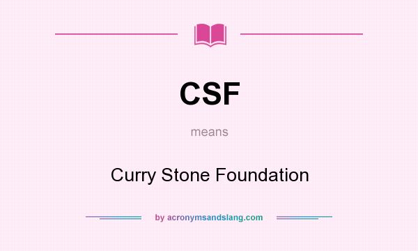 What does CSF mean? It stands for Curry Stone Foundation