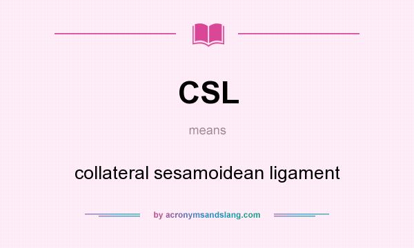 What does CSL mean? It stands for collateral sesamoidean ligament