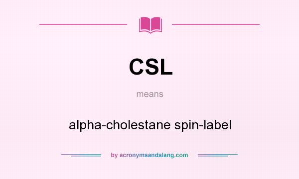 What does CSL mean? It stands for alpha-cholestane spin-label