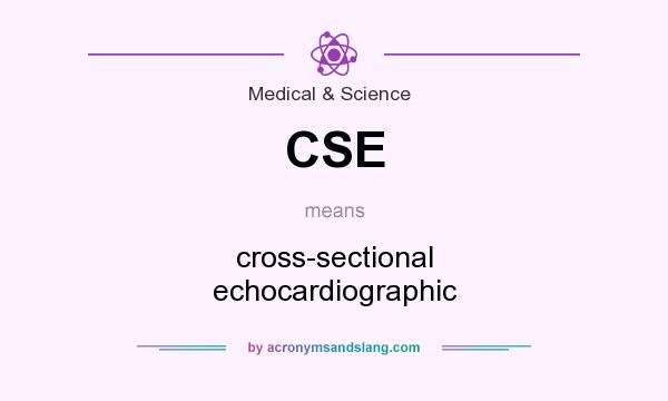 What does CSE mean? It stands for cross-sectional echocardiographic