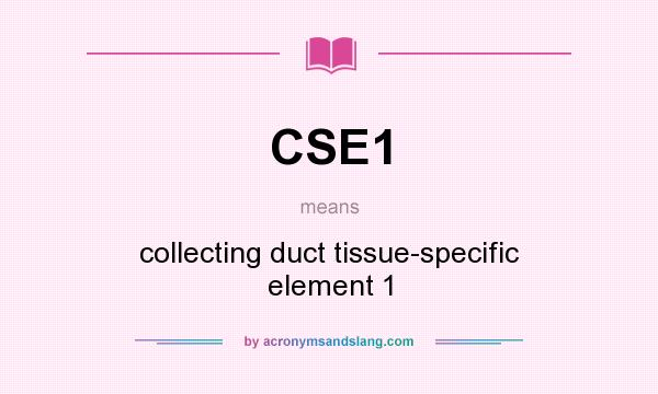 What does CSE1 mean? It stands for collecting duct tissue-specific element 1