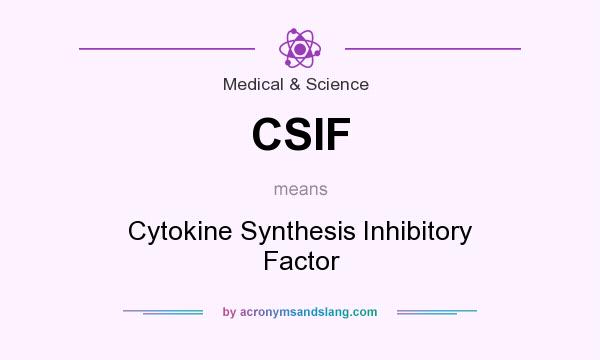What does CSIF mean? It stands for Cytokine Synthesis Inhibitory Factor