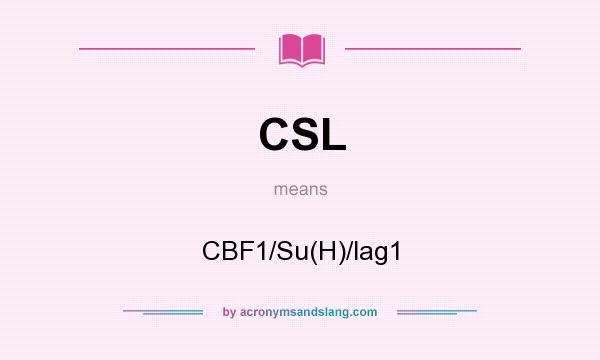 What does CSL mean? It stands for CBF1/Su(H)/lag1