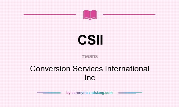 What does CSII mean? It stands for Conversion Services International Inc