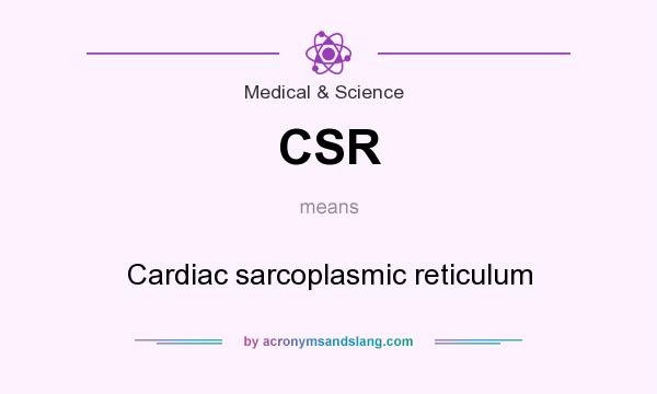 What does CSR mean? It stands for Cardiac sarcoplasmic reticulum