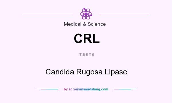 What does CRL mean? It stands for Candida Rugosa Lipase
