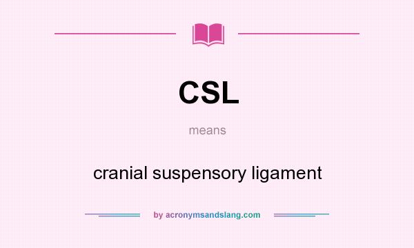 What does CSL mean? It stands for cranial suspensory ligament