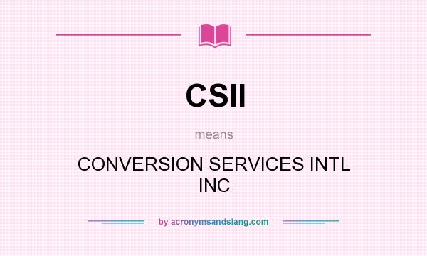 What does CSII mean? It stands for CONVERSION SERVICES INTL INC