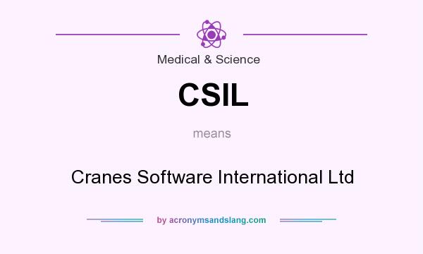 What does CSIL mean? It stands for Cranes Software International Ltd