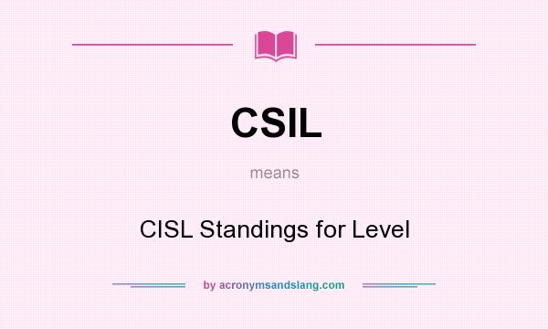 What does CSIL mean? It stands for CISL Standings for Level
