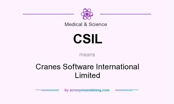 What does CSIL mean? It stands for Cranes Software International Limited