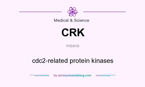 What does CRK mean? It stands for cdc2-related protein kinases