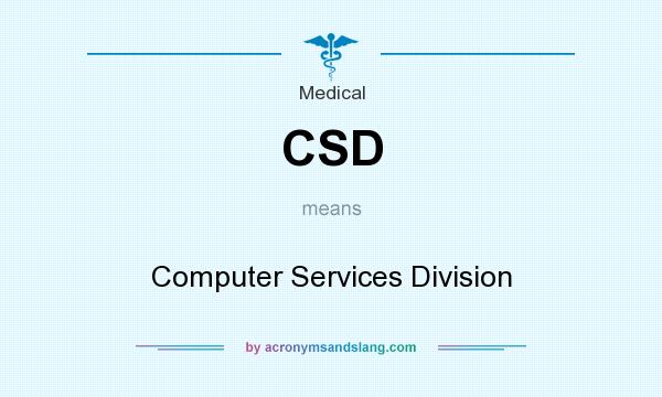 What does CSD mean? It stands for Computer Services Division