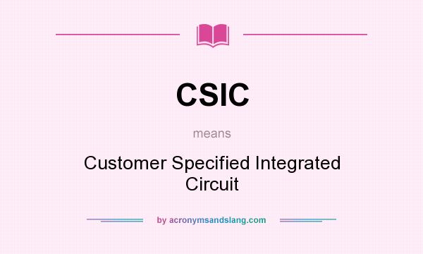 What does CSIC mean? It stands for Customer Specified Integrated Circuit