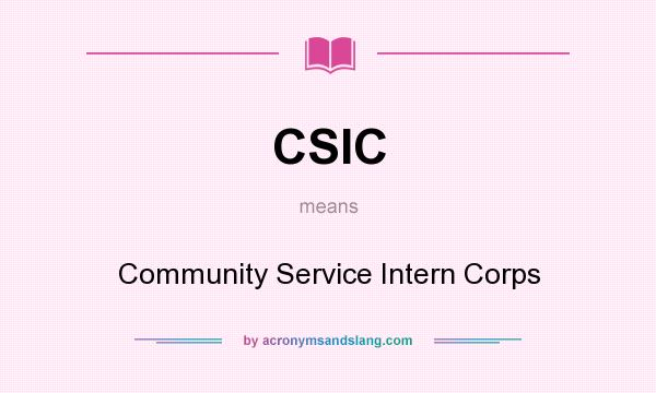 What does CSIC mean? It stands for Community Service Intern Corps