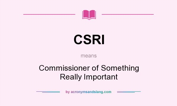 What does CSRI mean? It stands for Commissioner of Something Really Important