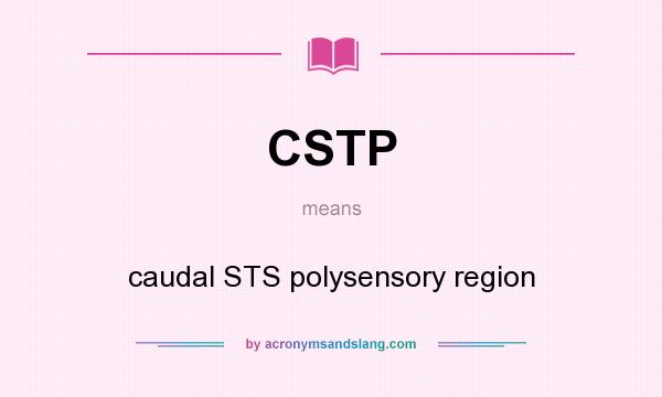 What does CSTP mean? It stands for caudal STS polysensory region