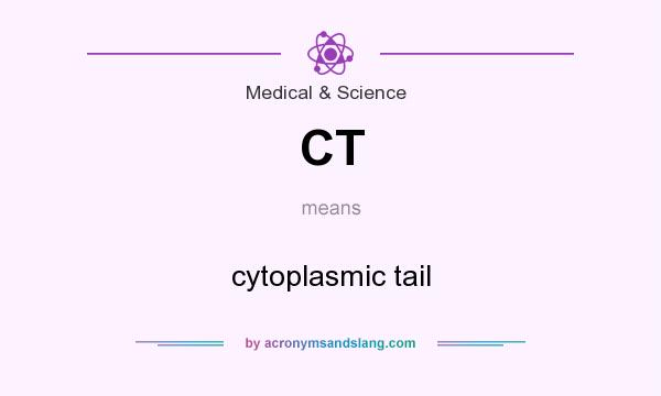 What does CT mean? It stands for cytoplasmic tail