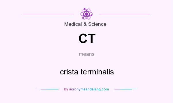 What does CT mean? It stands for crista terminalis