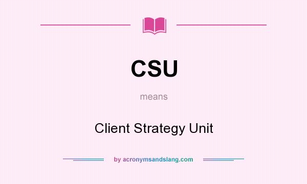 What does CSU mean? It stands for Client Strategy Unit