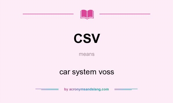 What does CSV mean? It stands for car system voss