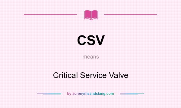What does CSV mean? It stands for Critical Service Valve