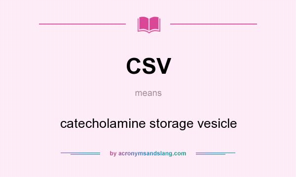 What does CSV mean? It stands for catecholamine storage vesicle