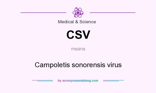 What does CSV mean? It stands for Campoletis sonorensis virus