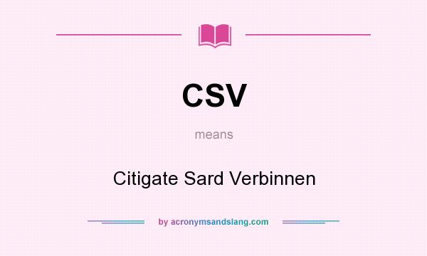 What does CSV mean? It stands for Citigate Sard Verbinnen