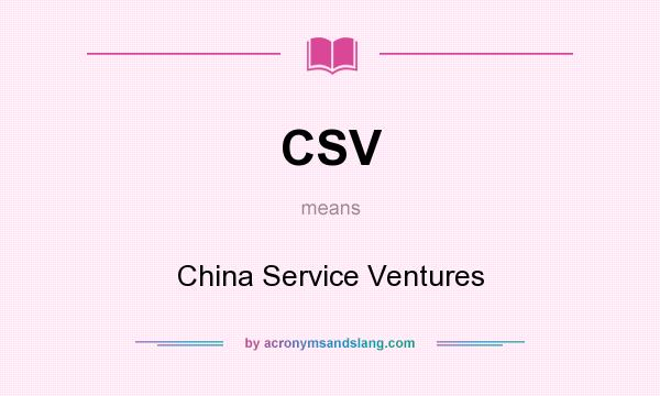 What does CSV mean? It stands for China Service Ventures