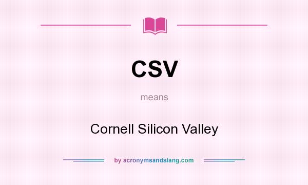 What does CSV mean? It stands for Cornell Silicon Valley