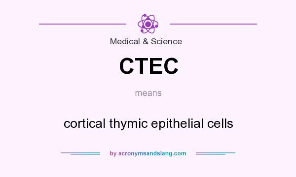What does CTEC mean? It stands for cortical thymic epithelial cells