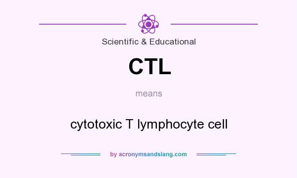 What does CTL mean? It stands for cytotoxic T lymphocyte cell