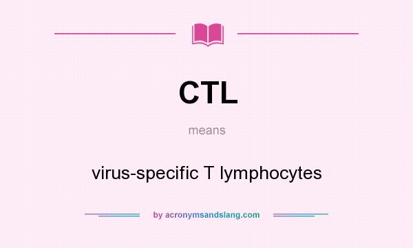 What does CTL mean? It stands for virus-specific T lymphocytes
