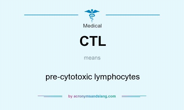 What does CTL mean? It stands for pre-cytotoxic lymphocytes