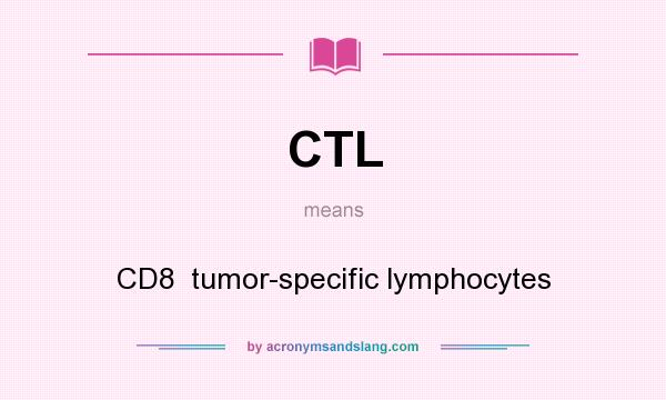 What does CTL mean? It stands for CD8  tumor-specific lymphocytes