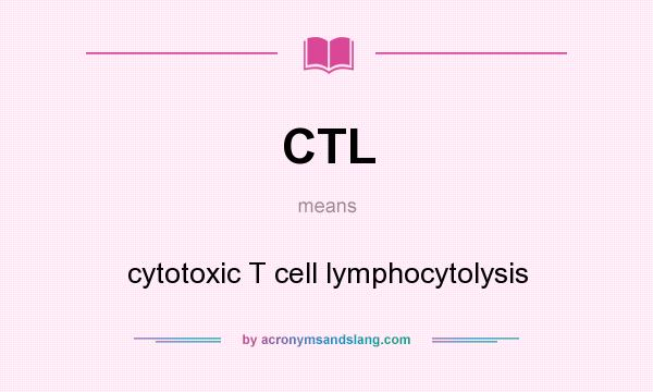 What does CTL mean? It stands for cytotoxic T cell lymphocytolysis