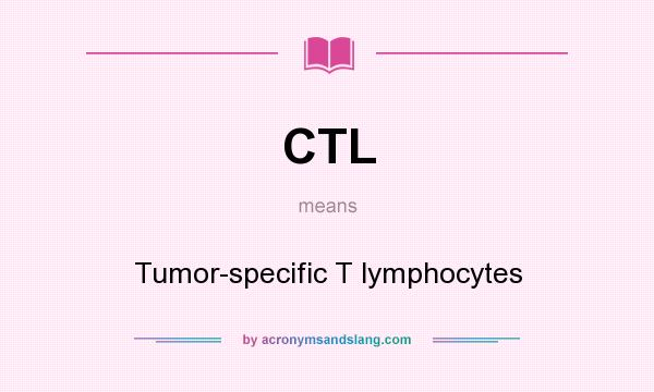 What does CTL mean? It stands for Tumor-specific T lymphocytes
