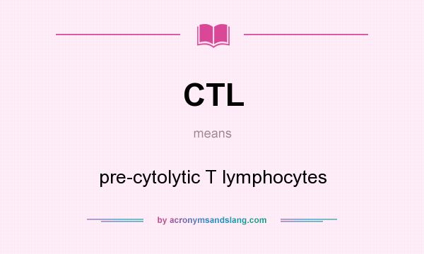 What does CTL mean? It stands for pre-cytolytic T lymphocytes
