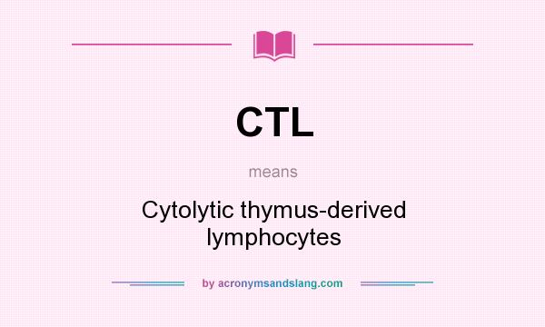 What does CTL mean? It stands for Cytolytic thymus-derived lymphocytes