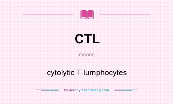 What does CTL mean? It stands for cytolytic T lumphocytes